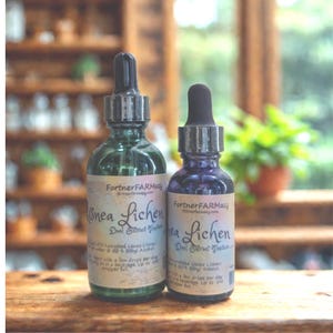Usnea Dual Extract | Herbal Wellness Support | 1 oz & 2 oz Bottles | Fortner Farm Herbal Extracts
