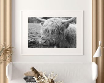 Highland Cow Print: Black and White Scottish Farmhouse Decor (Digital Download