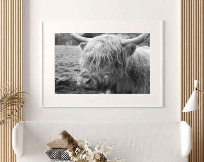Highland Cow Print: Black and White Scottish Farmhouse Decor (Digital Download