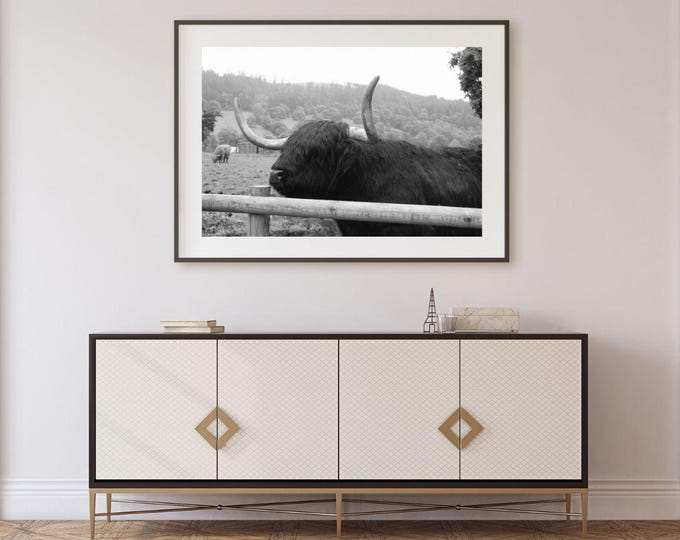 Featured listing image: Highland Cow : High Resolution Black and White Print, Animal Photography, Scottish Gaelic (Digital Download)
