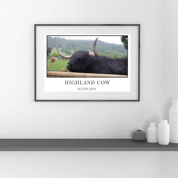 Three Digital Prints, Highland Cows, Scotland, Cultural, Nature, Landscape, Rustic, Countryside Wall Art, Home Decor