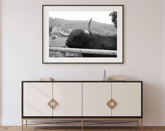Highland Cow Print: Black and White Scottish Farmhouse Decor (Digital Download