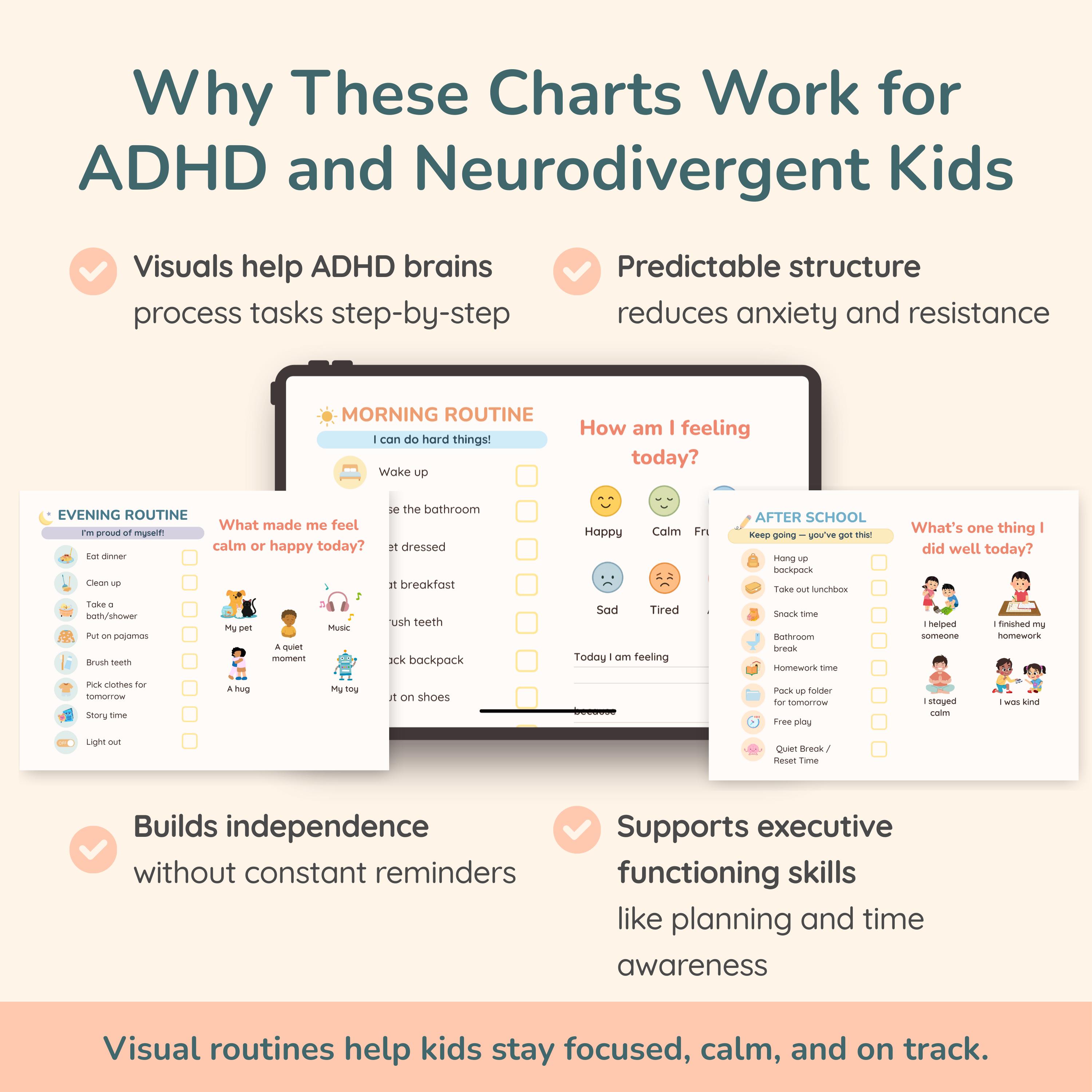 Visual Structured Routine Kids Routine Chart, Daily Schedule, Morning Routine, Evening Routine ...