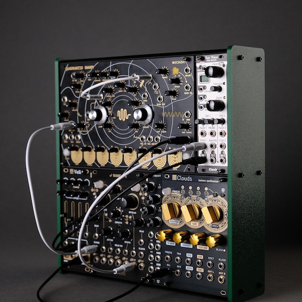 Eurorack Case - Custom Size/Depth - VESA Mounting - Colored Panels