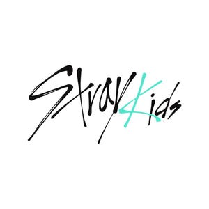 Stray Kids Logo Shirt, Stray Kids Kpop Shirt, Stray Kids Merch Shirt, Kpop Group Merch, Stray Kids Konzert Outfit, Geschenk für den Aufenthalt,