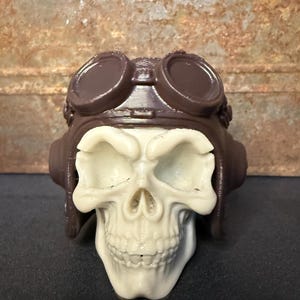 May include: A skull figurine wearing a brown aviator helmet and goggles. The skull is off-white with detailed facial features. The goggles and helmet are a dark brown color. The background is a rusty, textured surface.
