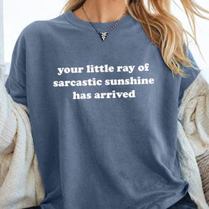 Comfort Your Little Ray Of Sarcastic Sunshine Has Arrived Shirt, Retro Funny Shirt, Sarcastic Women&#39;s Sweatshirt, Adult Humorous Gift