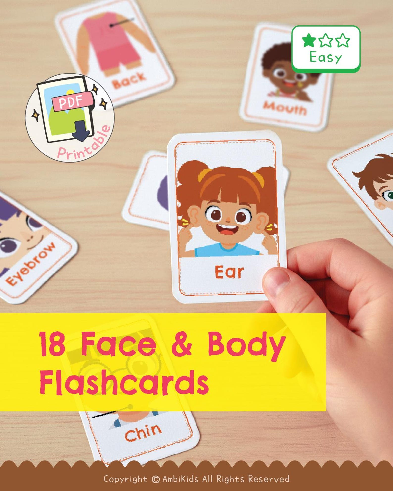 Face & Body Flash Cards｜learn Human Body for Kids and Adults ...