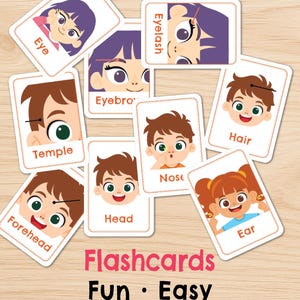 Face & Body Flash Cards｜learn Human Body for Kids and Adults ...