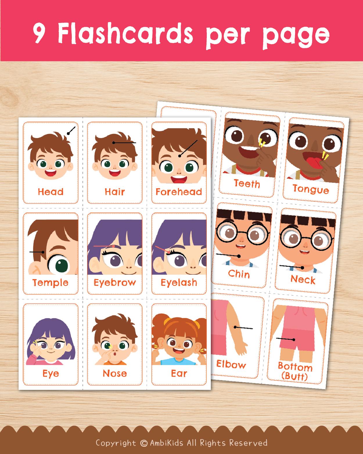 Face & Body Flash Cards｜learn Human Body for Kids and Adults ...