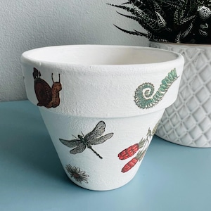 Indoor Terracotta Pot for Plants