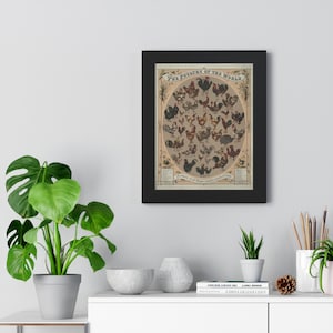 Vintage Chicken Breeds Framed Poster: 19th Century Poultry Art