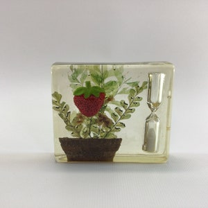 May include: A clear glass hourglass with a red strawberry and green leaves pressed inside. The hourglass is sitting on a white surface.