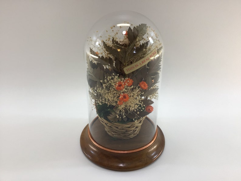 Dried Roses / Flowers Under Glass Dome Vintage Home Decor Etsy