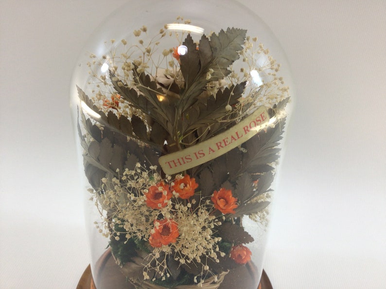 Dried Roses / Flowers Under Glass Dome Vintage Home Decor Etsy