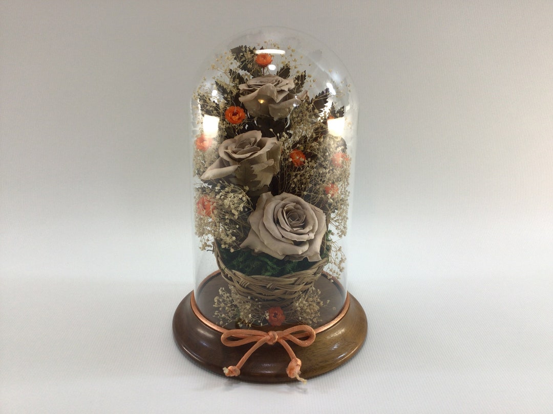 Dried Roses / Flowers Under Glass Dome Vintage Home Decor Etsy