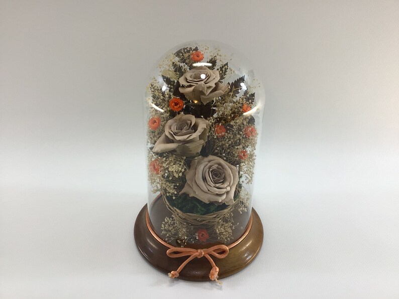 Dried Roses / Flowers Under Glass Dome Vintage Home Decor Etsy