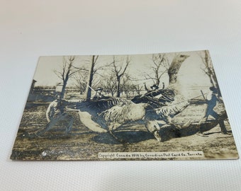 RPPC Exaggerated Tall Tale Post Card Black and White Real Photo Exaggeration Taking Our Geese To Market Large Canadian Goose Wrangling