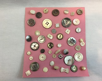 Button Collection Card Antique Vintage Variety of MOP Mother of Pearl