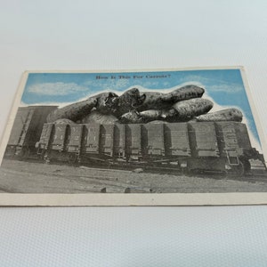 May include: A vintage postcard with a humorous image of a train car filled with oversized carrots. The caption reads "How Is This For Carrots?"