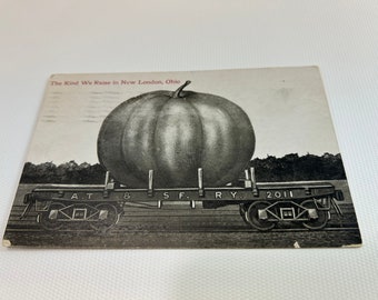 RPPC Exaggerated Tall Tale Post Card Black and White Real Photo Exaggeration Train AT & SF R Y Pumpkin New London Ohio Souvenir Posted 1911