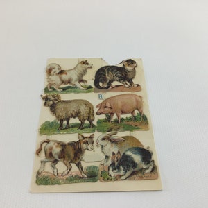 May include: A vintage card with six illustrated animal cutouts. The animals include a dog, cat, sheep, pig, calf, and rabbit. The card is printed on cream-colored paper with green and brown accents.