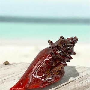 May include: A decorative, red glass seashell sculpture with a glossy finish. The shell is resting on a weathered wooden surface, with a blurred beach and ocean background. The sculpture has a detailed, textured surface.
