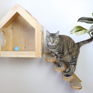 May include: A light-colored wooden cat house with a gabled roof and circular side openings, featuring a small blue ball inside. Attached to the wall below are four stepped wooden platforms with textured surfaces for a cat to climb.
