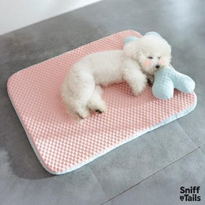 Summer Cooling Dog Mat with Pillow – Soft Ice Silk Bed for Small to Large Pets