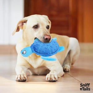 Soft Turtle Dog Toy with Squeaker – Ideal for Small and Medium Dogs