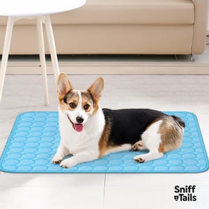 Cooling Dog Mat – Breathable, Washable, Non-Slip Pet Pad for Summer