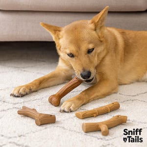 Natural Wood-Style Dog Chew Toys – Antler, Bamboo, Bone & Branch | Durable Dental Toys for Aggressive Chewers | Buy Set and Get Half Off