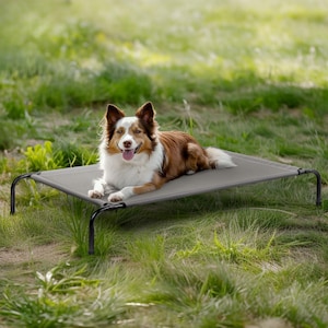 Elevated Dog Bed – Raised Outdoor Pet Cot for All Dogs