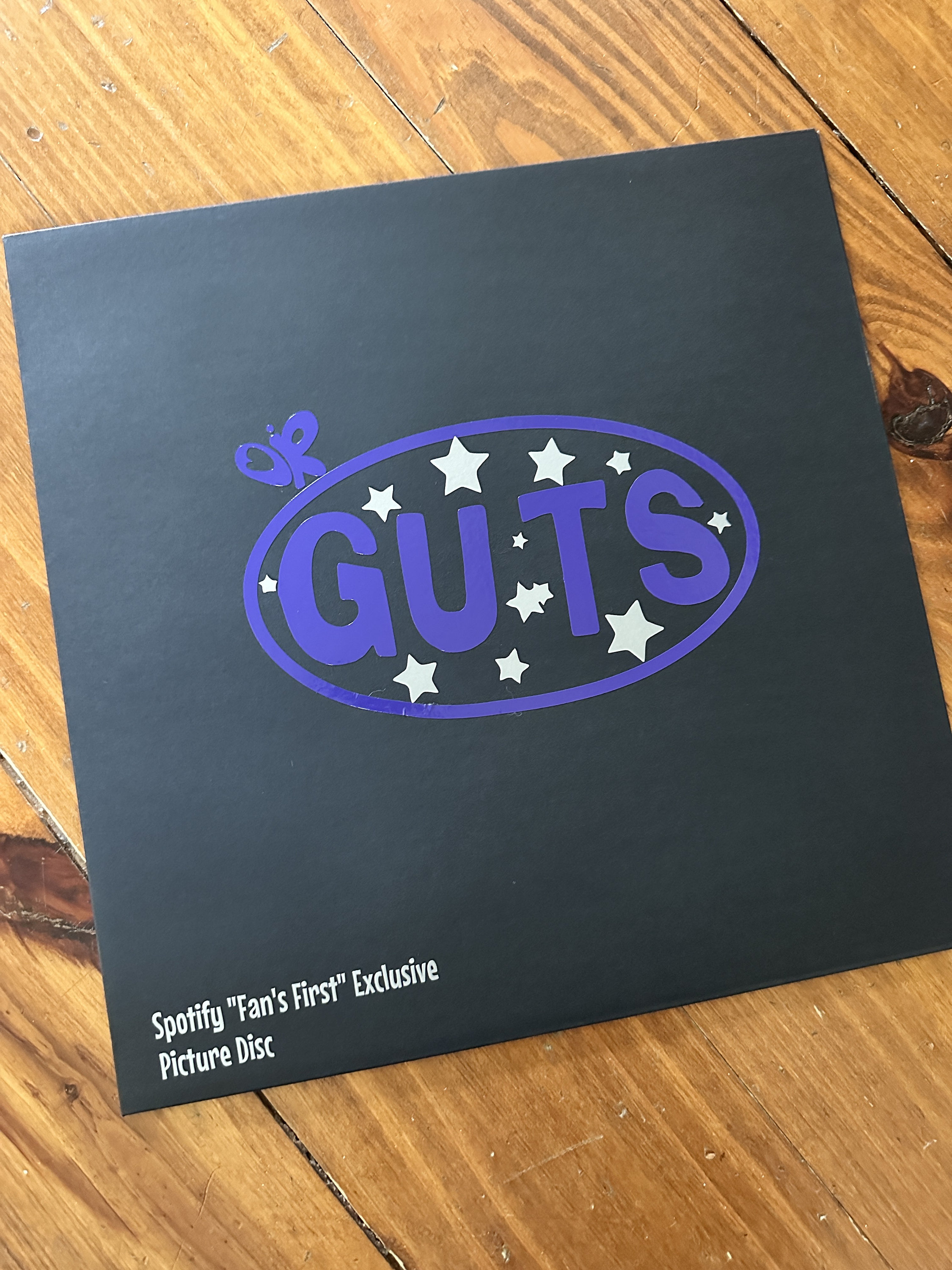 Guts 12” picture disc Custom Vinyl sleeve