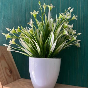 Puede incluir: Una planta artificial en maceta con flores blancas y hojas a rayas verdes y blancas. La planta está en una maceta de cerámica blanca brillante. El fondo es una pared de color verde azulado y la maceta está sobre una estantería de madera.