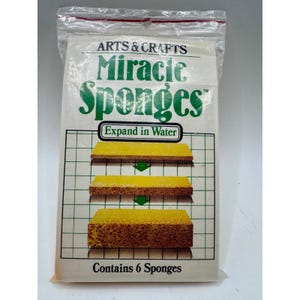 May include: A packet of "Miracle Sponges" for arts and crafts. The white packet has green text and shows the sponges expanding in water. The packet contains 6 sponges.