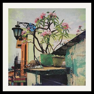May include: A print depicting a rooftop scene with a potted plant bearing pink flowers. A vintage street lamp and a balcony are visible. The buildings are painted in shades of orange, green, and blue. The sky is a pale blue.