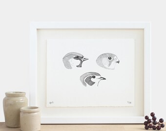 Three Beaks Print - limited edition achromatic monochrome diagram black and white birds