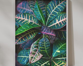 Vibrant Greenery Garden Print | Lush Foliage After Rain Wall Art