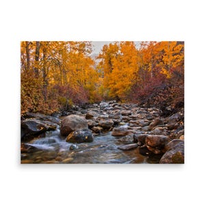 Ruby Mountains Herbst Farben Poster - Herbst Wald See Wandkunst
