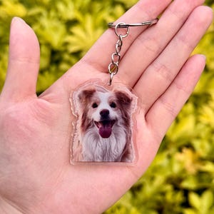 May include: A clear acrylic keychain featuring a smiling dog with brown and white fur. The dog's tongue is visible. The keychain has a silver metal chain and ring.