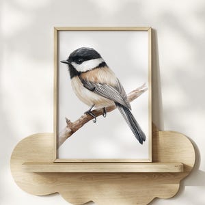 Black-headed Chickadee Watercolor Print, Framed Poster or Canvas Nursery, Bird Wall Art Decor Songbird Birdwatching Art, Cottagecore Bird
