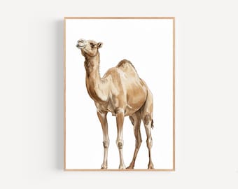 Camel Watercolor Print, Framed Poster or Canvas Camel White Background Art Print Gift Wall Arabian Dromedary Decor Watercolor Camel