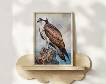 Impresión de acuarela de águila pescadora costera, póster enmarcado o lienzo, decoración de pared para guardería, aves rapaces, vida silvestre, ave rapaz oceánica, regalo para observación de aves
