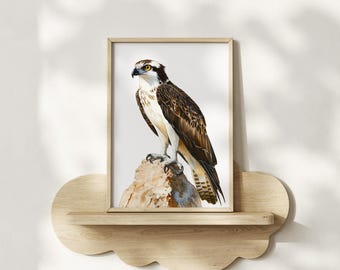 Impresión de acuarela de águila pescadora posada simple, póster enmarcado o lienzo, arte de pared para guardería, aves rapaces, vida silvestre, ave rapaz oceánica, regalo para observación de aves