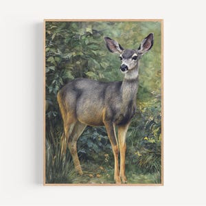 Mule Deer Aquarell Druck gerahmtes Poster oder Leinwand Mule Deer Robuste Waldkunst Wanddekoration Rustikale Big Game Jagd Geschenkidee für Papa