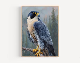 Peregrine Falcon Oil Painting Print Framed Poster or Canvas Peregrine Falcon in Misty Conifer Forest