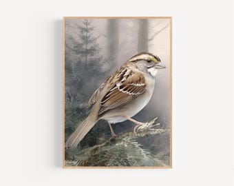 White Throated Sparrow Watercolor Print Framed Poster or Canvas White Throated Sparrow Fog Forest Art Birdwatching Wall Decor Gift