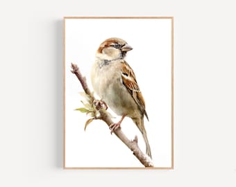 Impresión de acuarela de gorrión, póster enmarcado o lienzo, decoración artística de observación de aves de gorrión simple, regalo de pared, amante de las aves, rama rústica para observadores de aves