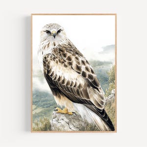 Bussard Ölgemälde Druck gerahmtes Poster oder Leinwand Realistischer Raufußbussard Wandkunst Dekor